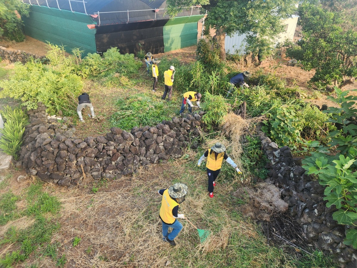 250802 애월읍 봉사활동(3)